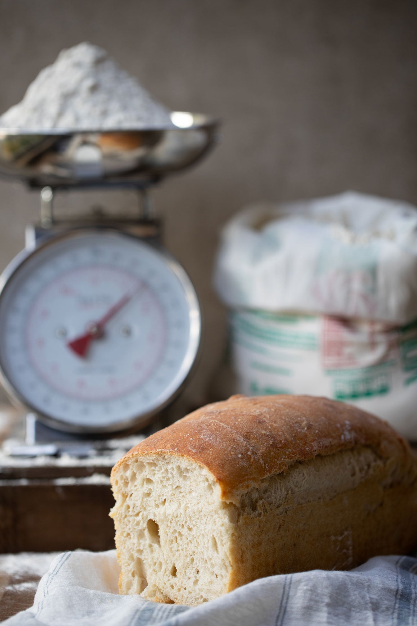 Dónde Comprar Masa Madre Instantánea en Polvo: Guía de Compra 2025